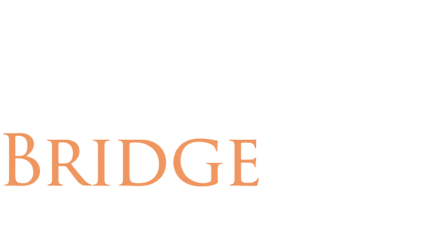 BridgeRise Consulting Ltd